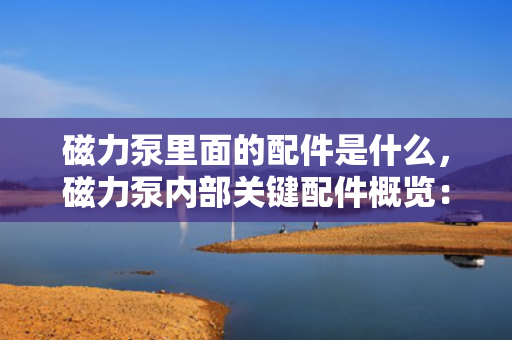 磁力泵里面的配件是什么，磁力泵内部关键配件概览：了解磁力泵的核心组件