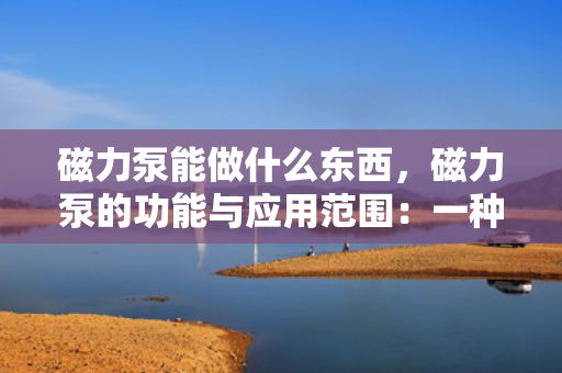 磁力泵能做什么东西，磁力泵的功能与应用范围：一种高效、安全的无泄漏输送设备