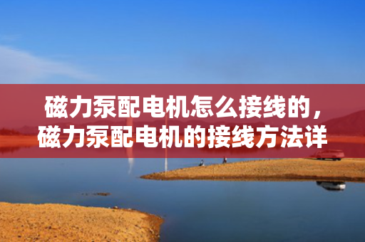 磁力泵配电机怎么接线的，磁力泵配电机的接线方法详解