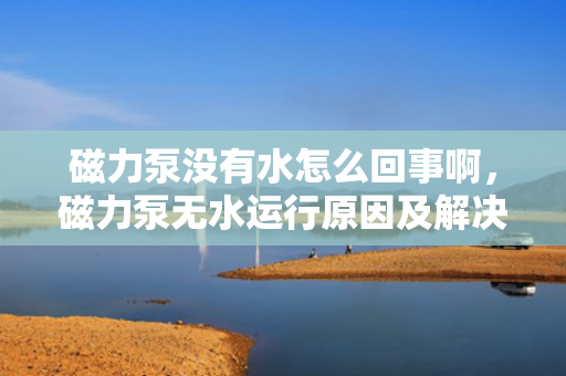 磁力泵没有水怎么回事啊，磁力泵无水运行原因及解决方法