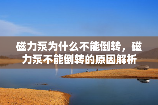 磁力泵为什么不能倒转，磁力泵不能倒转的原因解析