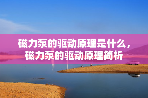 磁力泵的驱动原理是什么，磁力泵的驱动原理简析