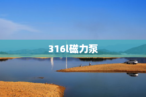 316l磁力泵