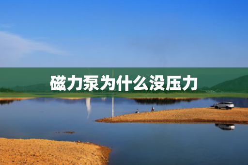 磁力泵为什么没压力