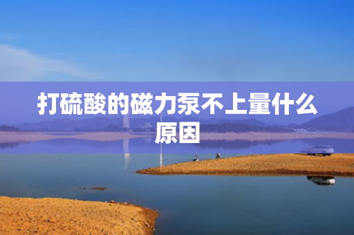 打硫酸的磁力泵不上量什么原因