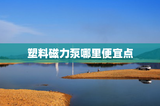 塑料磁力泵哪里便宜点