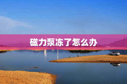 磁力泵冻了怎么办