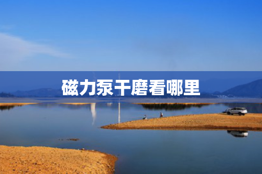 磁力泵干磨看哪里
