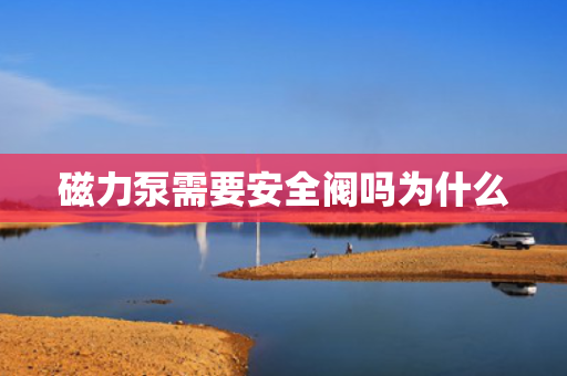 磁力泵需要安全阀吗为什么