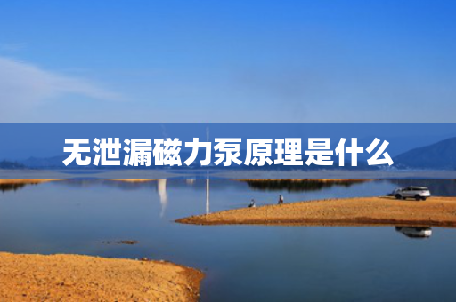无泄漏磁力泵原理是什么