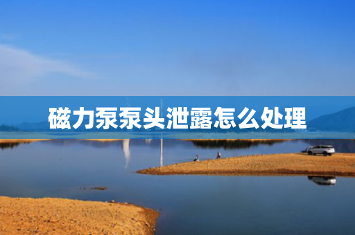 磁力泵泵头泄露怎么处理