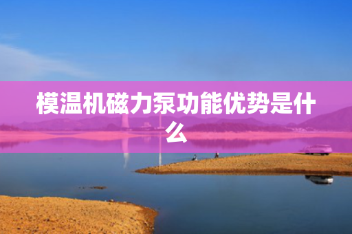 模温机磁力泵功能优势是什么