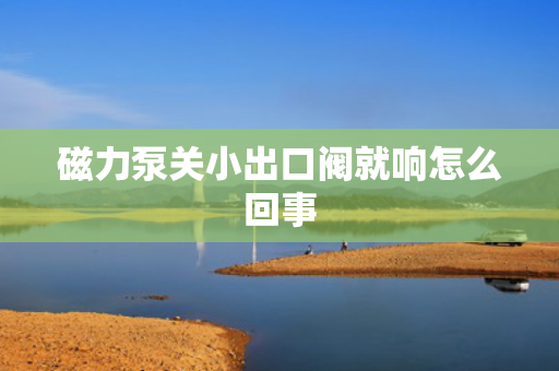 磁力泵关小出口阀就响怎么回事