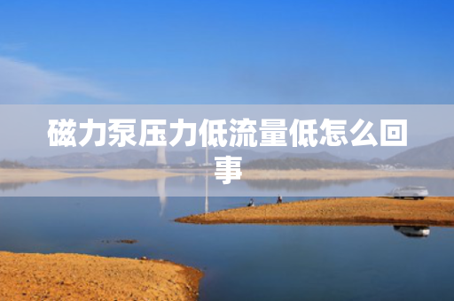 磁力泵压力低流量低怎么回事
