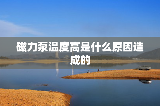 磁力泵温度高是什么原因造成的