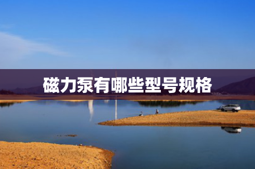 磁力泵有哪些型号规格