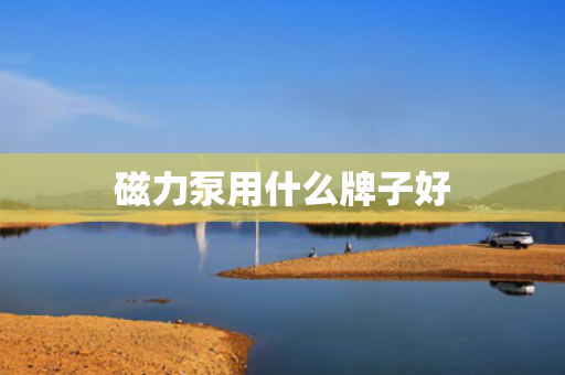 磁力泵用什么牌子好