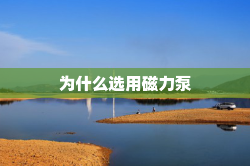 为什么选用磁力泵