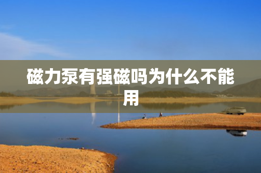 磁力泵有强磁吗为什么不能用