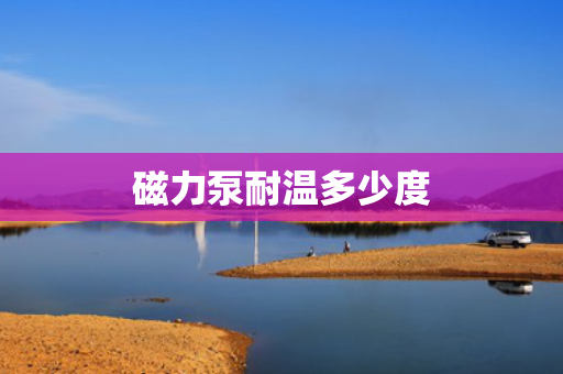 磁力泵耐温多少度