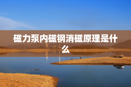 磁力泵内磁钢消磁原理是什么