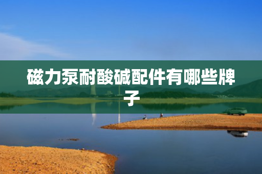 磁力泵耐酸碱配件有哪些牌子