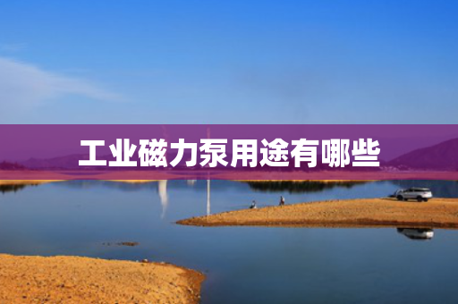 工业磁力泵用途有哪些