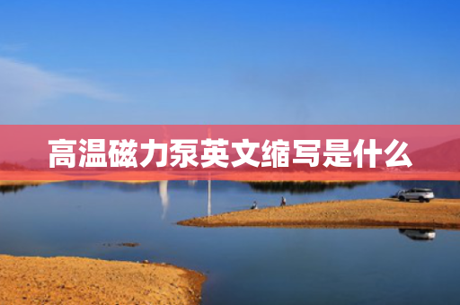 高温磁力泵英文缩写是什么