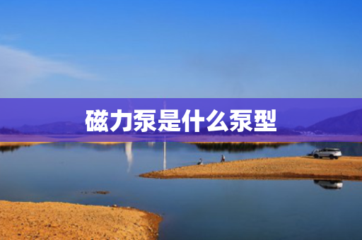 磁力泵是什么泵型