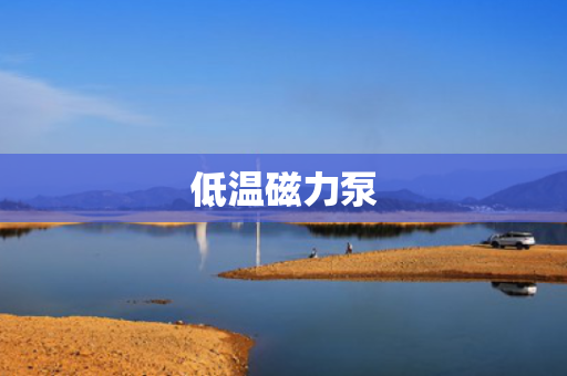 低温磁力泵
