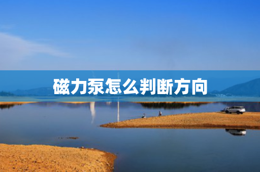 磁力泵怎么判断方向