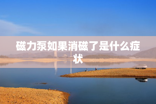 磁力泵如果消磁了是什么症状