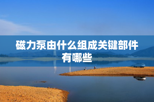 磁力泵由什么组成关键部件有哪些