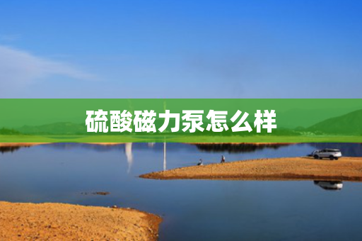 硫酸磁力泵怎么样