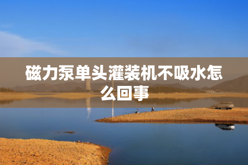 磁力泵单头灌装机不吸水怎么回事