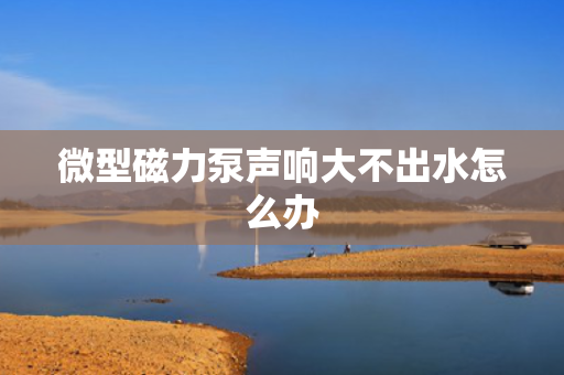 微型磁力泵声响大不出水怎么办