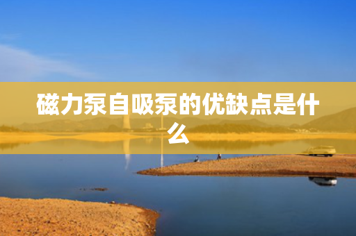 磁力泵自吸泵的优缺点是什么