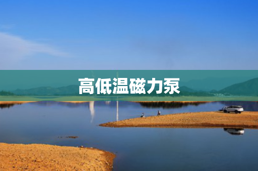 高低温磁力泵