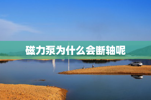 磁力泵为什么会断轴呢