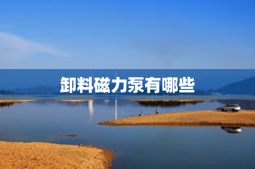 卸料磁力泵有哪些
