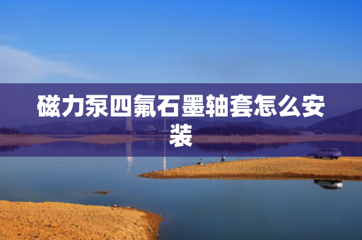 磁力泵四氟石墨轴套怎么安装