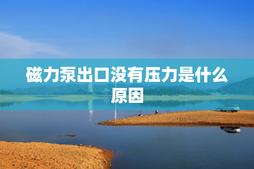 磁力泵出口没有压力是什么原因