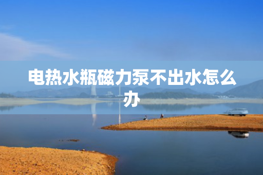 电热水瓶磁力泵不出水怎么办