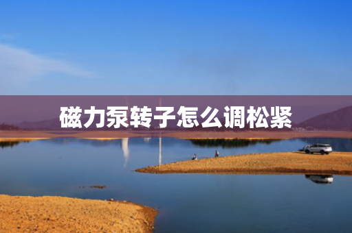 磁力泵转子怎么调松紧