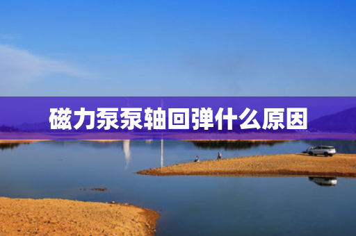 磁力泵泵轴回弹什么原因
