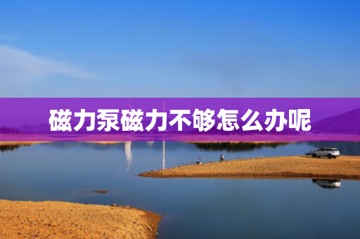 磁力泵磁力不够怎么办呢
