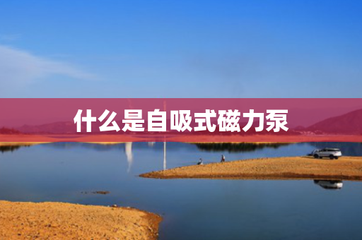 什么是自吸式磁力泵
