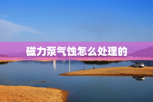 磁力泵气蚀怎么处理的