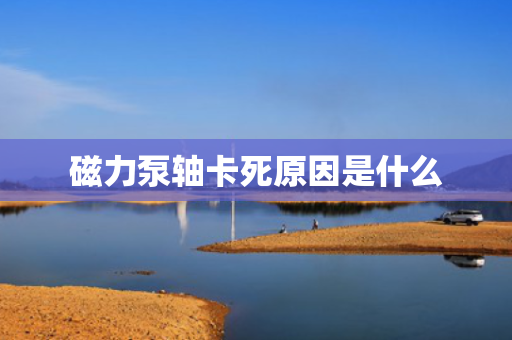 磁力泵轴卡死原因是什么