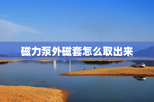 磁力泵外磁套怎么取出来